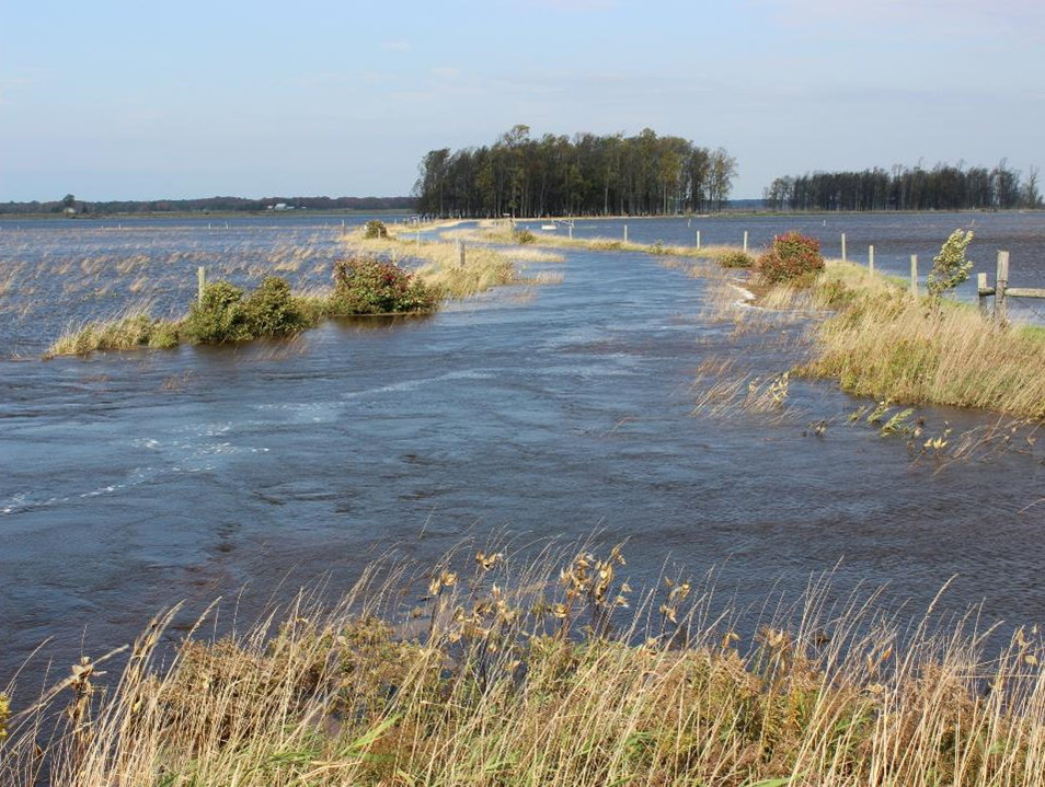 Anticipated climate change impacts for Lake Huron include water level fluctuations. Photo credit: BPBA