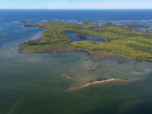 Some islands contain coastal wetlands, including Sandy Island pictured here in eastern Georgian Bay. Photo credit: Ellen Perschbacher