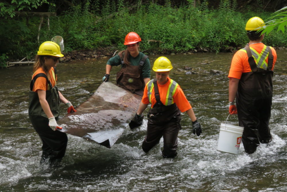 Volunteers engaged in stream restoration efforts in a Lake Huron tributary. Photo credit: MSIA